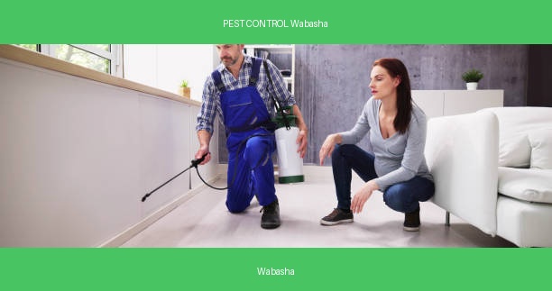 PEST CONTROL Wabasha